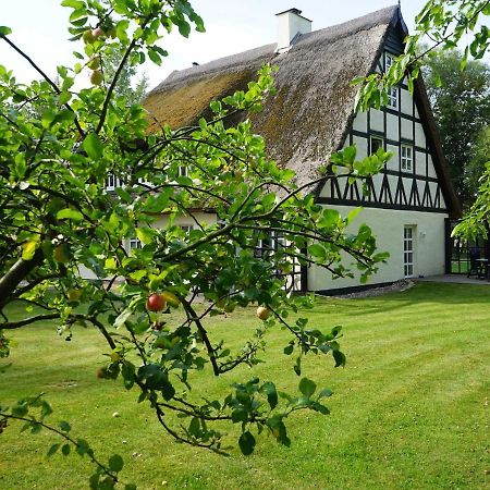 Haus Bela Apartment Nonnevitz Bagian luar foto
